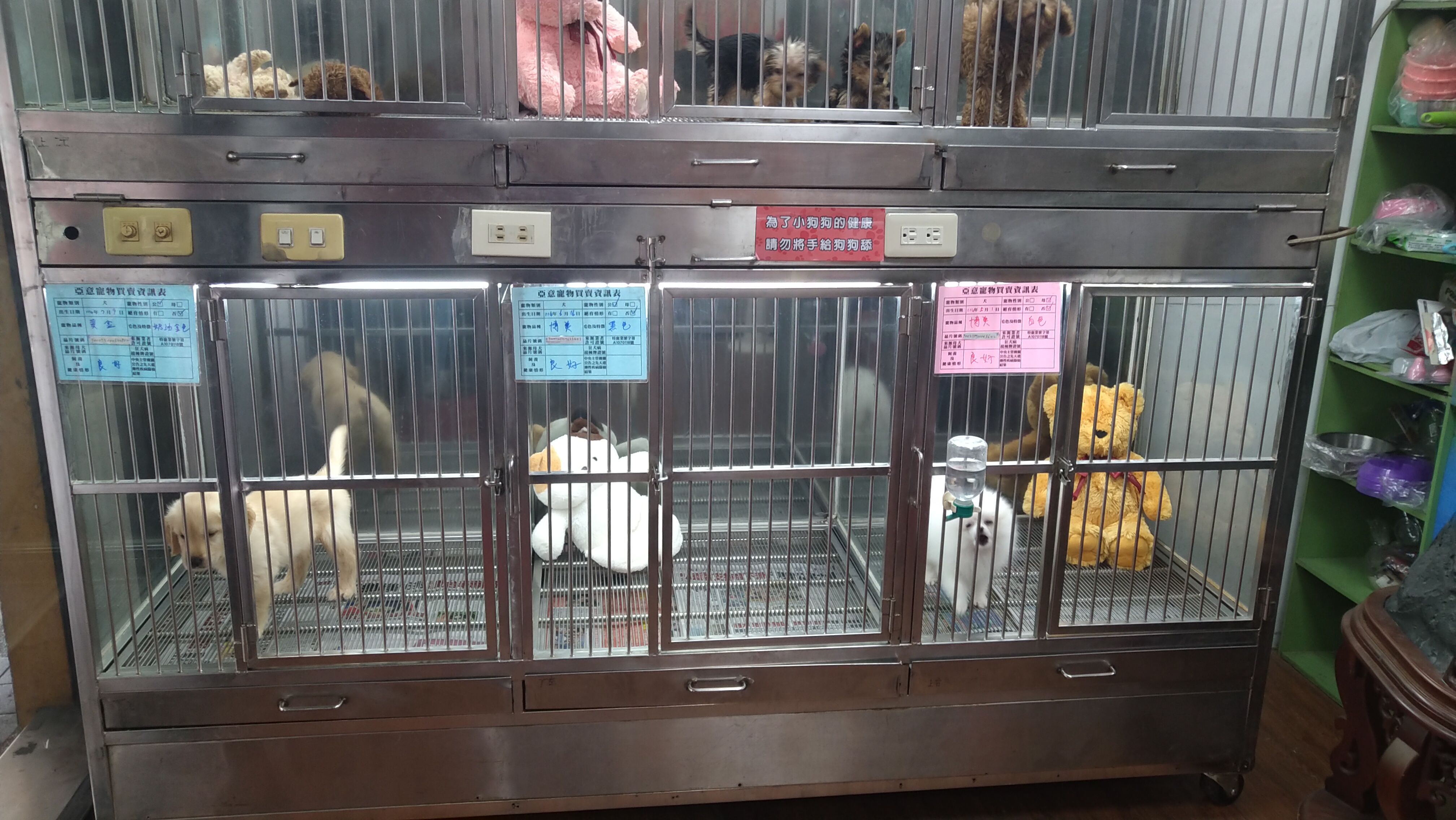 寵物買賣選擇清潔良好的店家.jpg