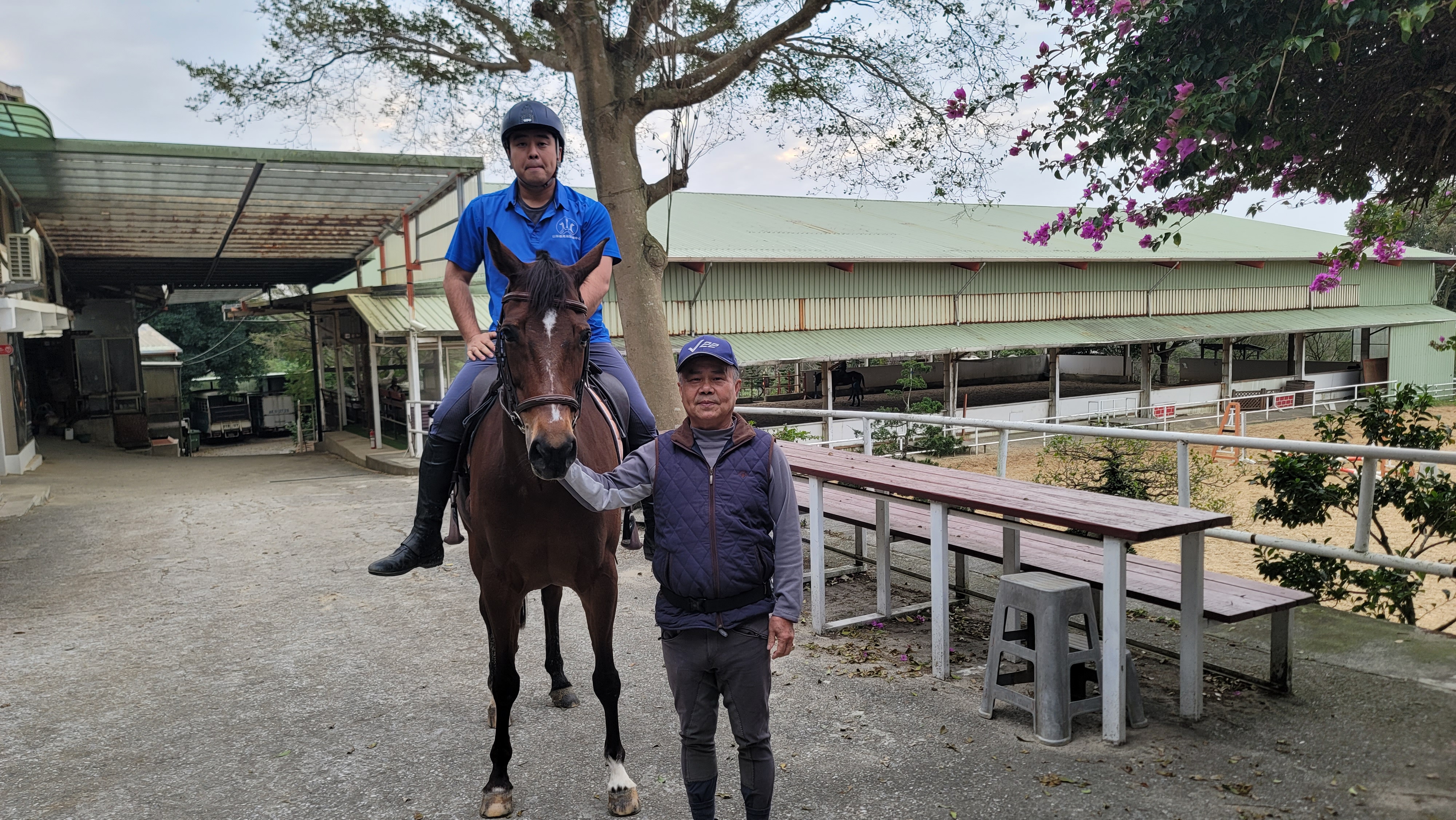 淡水馬場父子用一生守護馳騁夢，新北動保處媒合獸醫接力防疫 圖片集錦，共 9 張