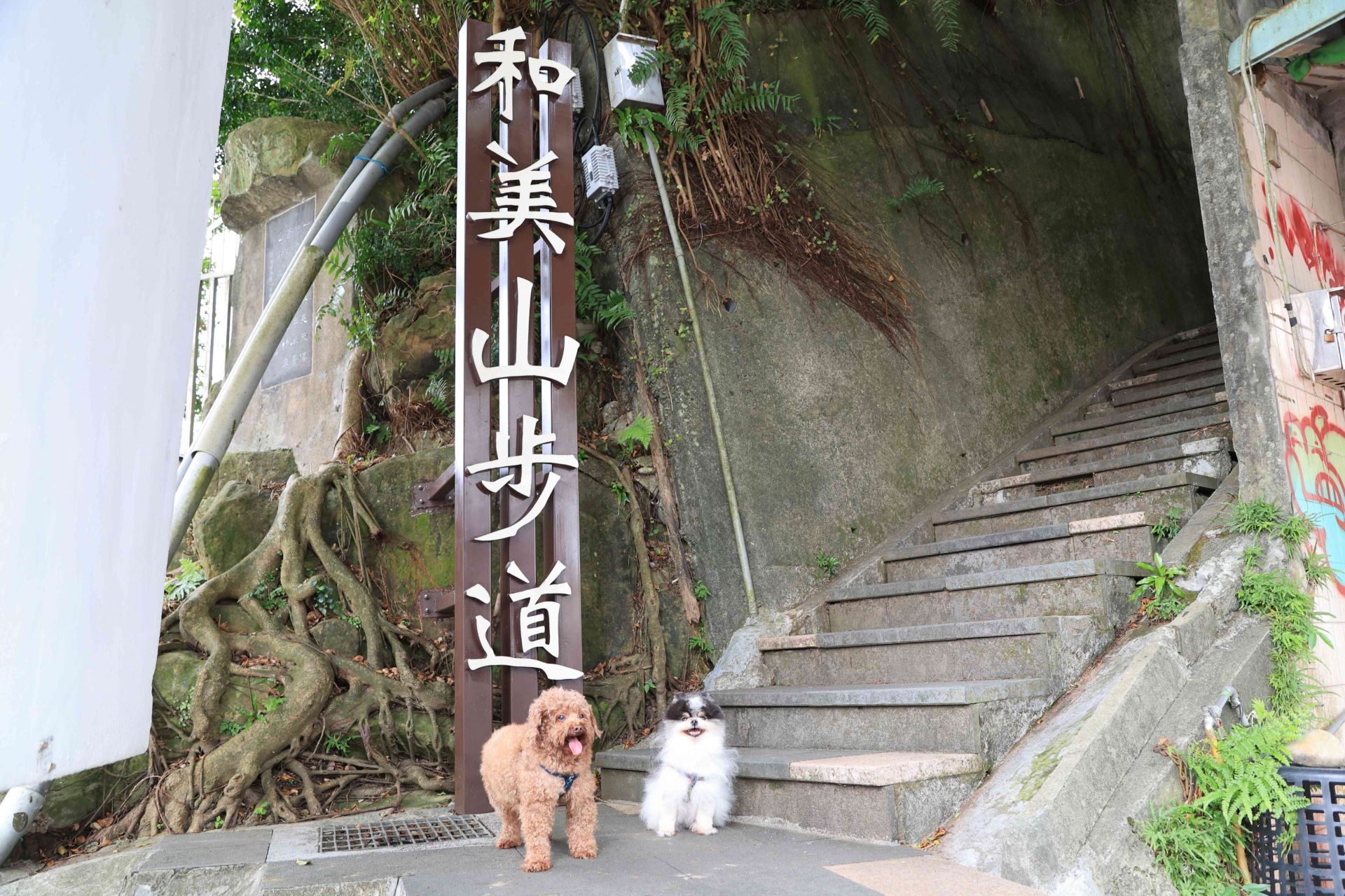 繫上牽繩後，準備出發走步道！.jpg