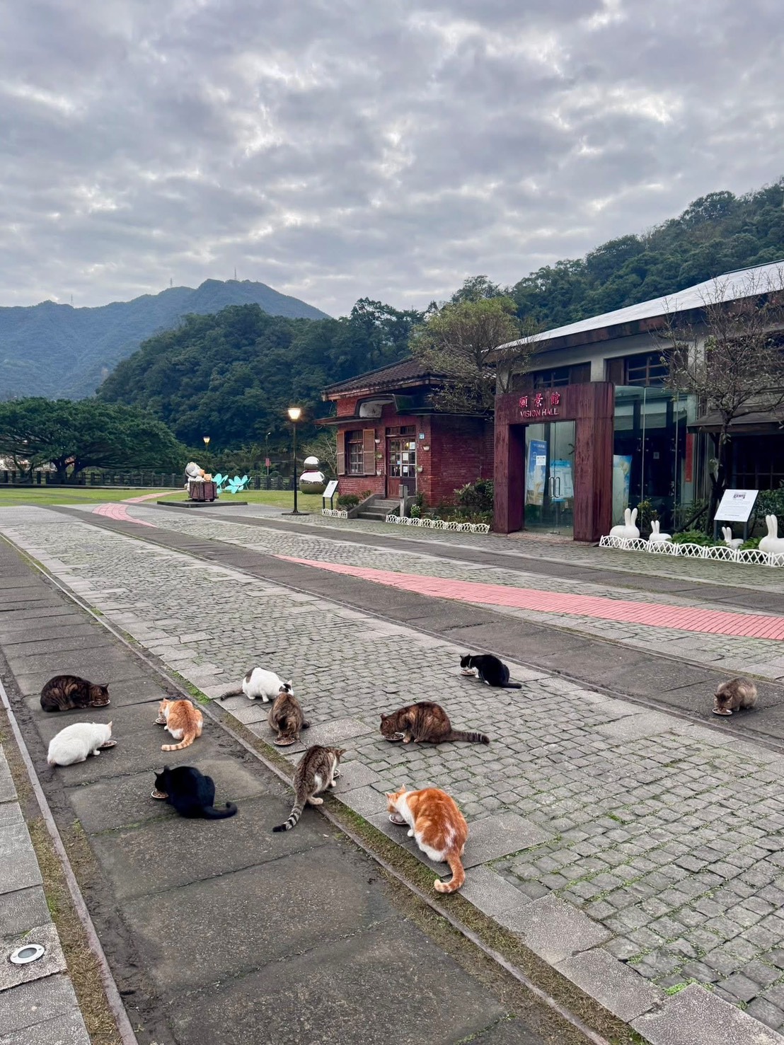 新北猴硐貓公所三方合作 打造友善貓村新風貌  圖片集錦，共 7 張