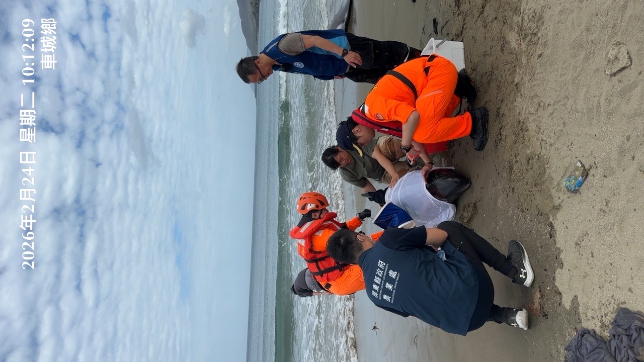 屏東縣115年3月動物保護宣導 #🌊【遇到擱淺鯨豚怎麼辦？請不要圍觀，立即通報118！】🐋 圖片