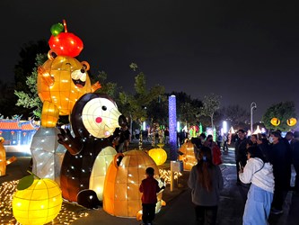 燈光藝術結合生命教育 2026中臺灣燈會「動物夢世界」溫暖落幕 圖片集錦，共 6 張