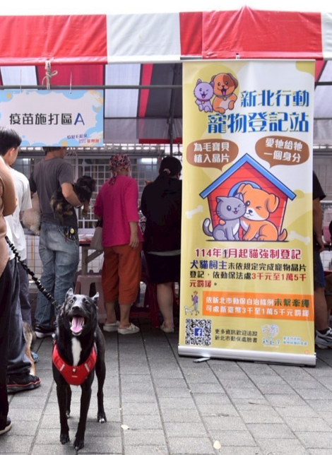 每場疫苗注射活動都有免費施打晶片及寵物登記，犬貓皆應完成晶片植入及寵物登記。.png