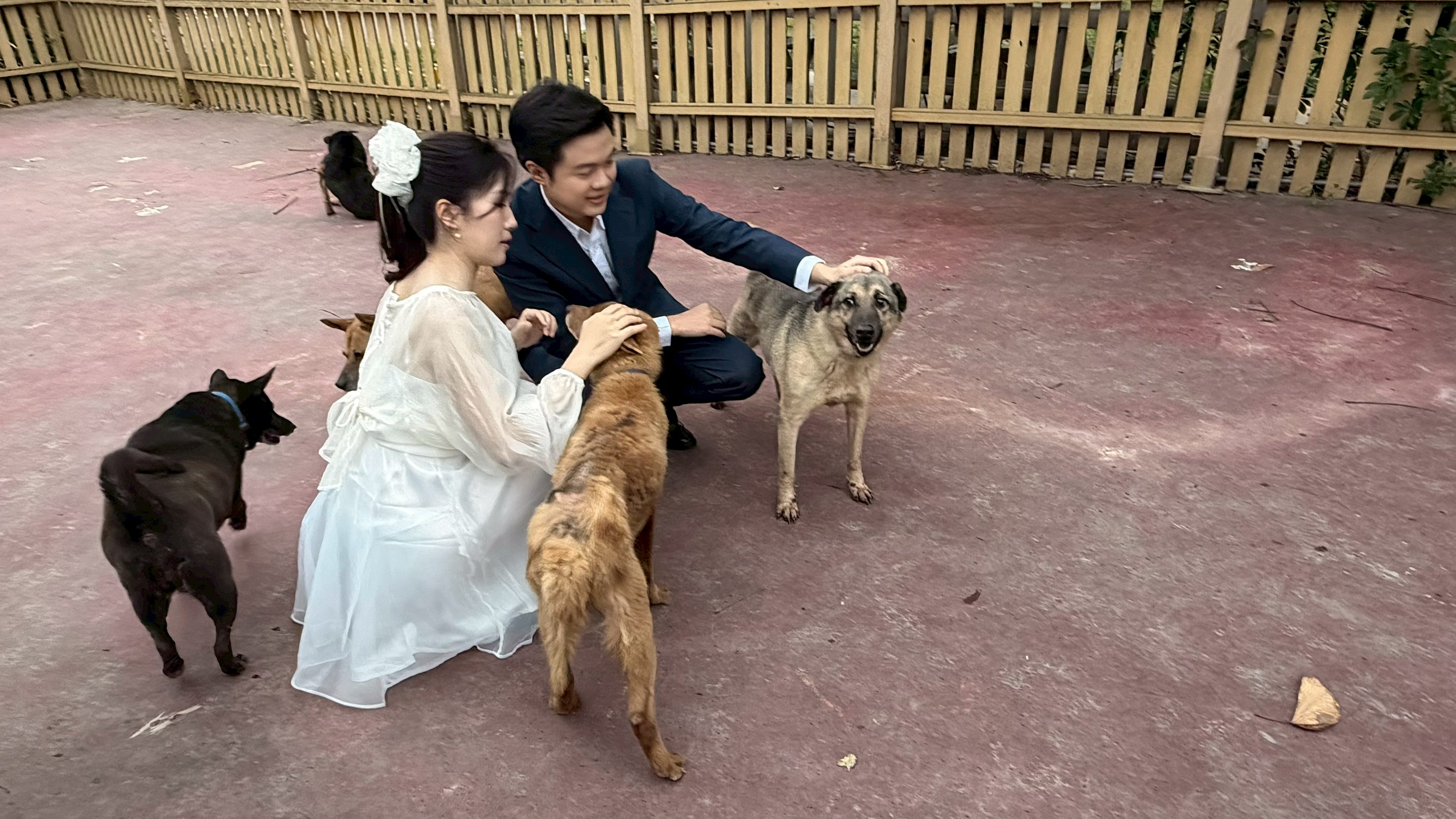 新郎湯先生希望在人生最重要的時刻，以行動支持動物保護理念 (2).jpg