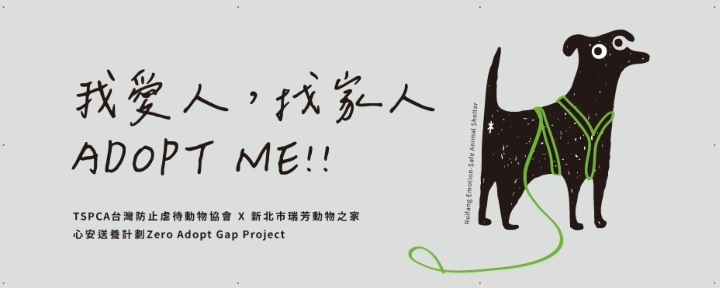 「我愛人，找家人」瑞芳動物之家毛寶貝前進IKEA內湖店  認養活動3/21日溫暖登場 圖片