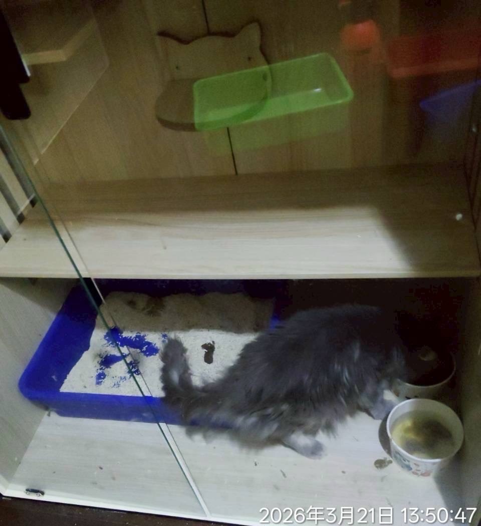 長期環境髒亂未整理