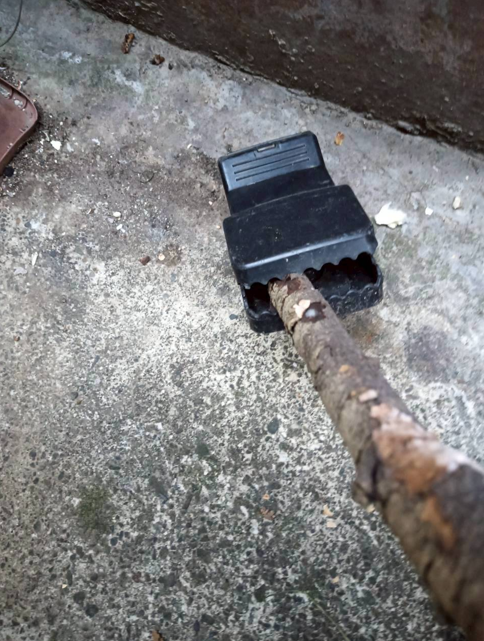 塑膠材質的「捕鼠器」仍屬違法獸鋏，可使用長棍觸發後安全移除.png