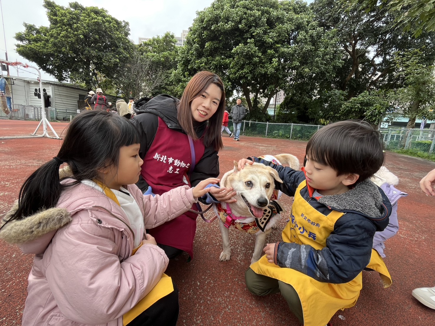 新北動保小小兵出動！兒童節推生命教育 讓愛從學習開始 圖片集錦，共 7 張
