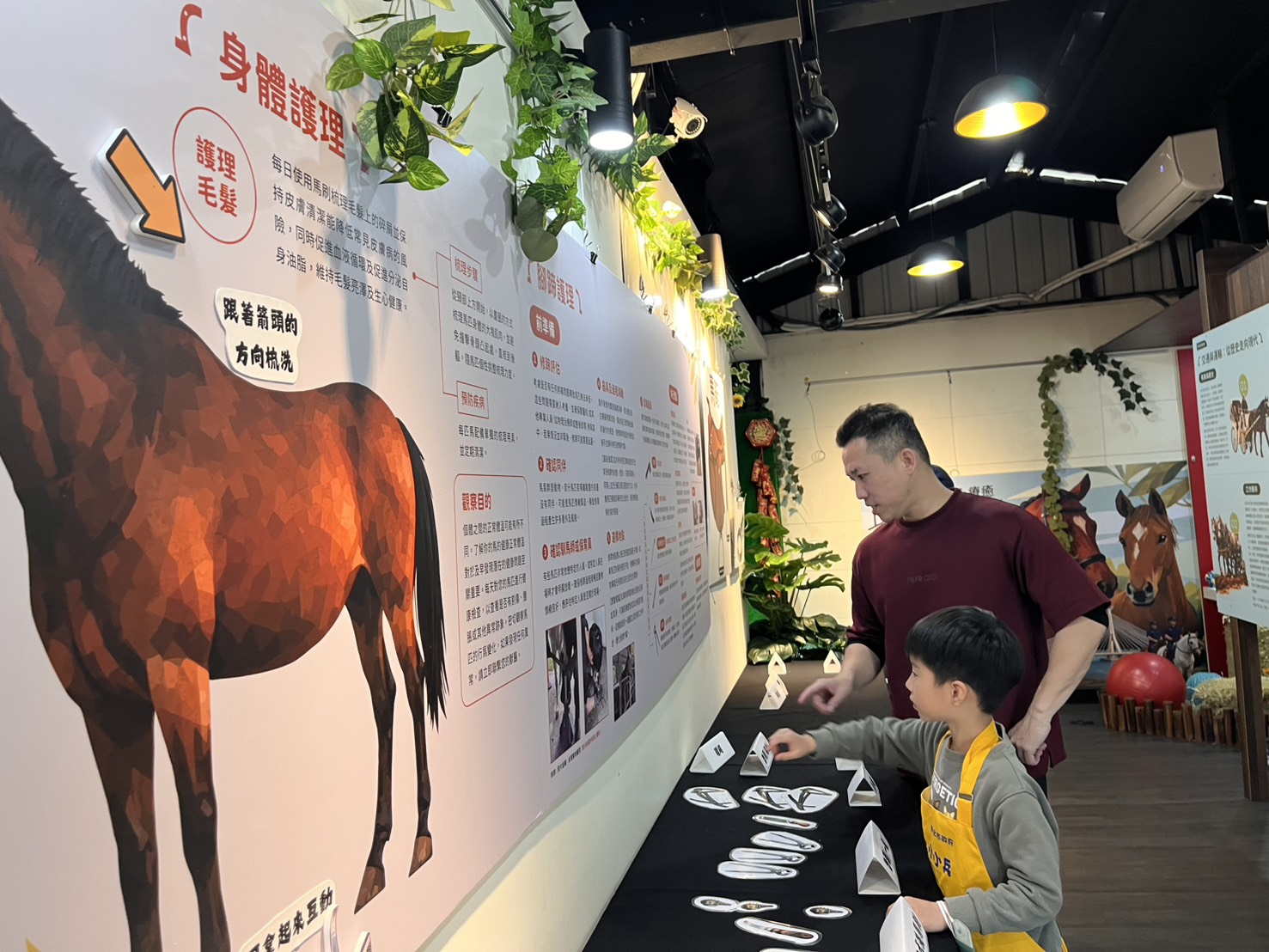小小兵至馬展了解如何照護馬.jpg