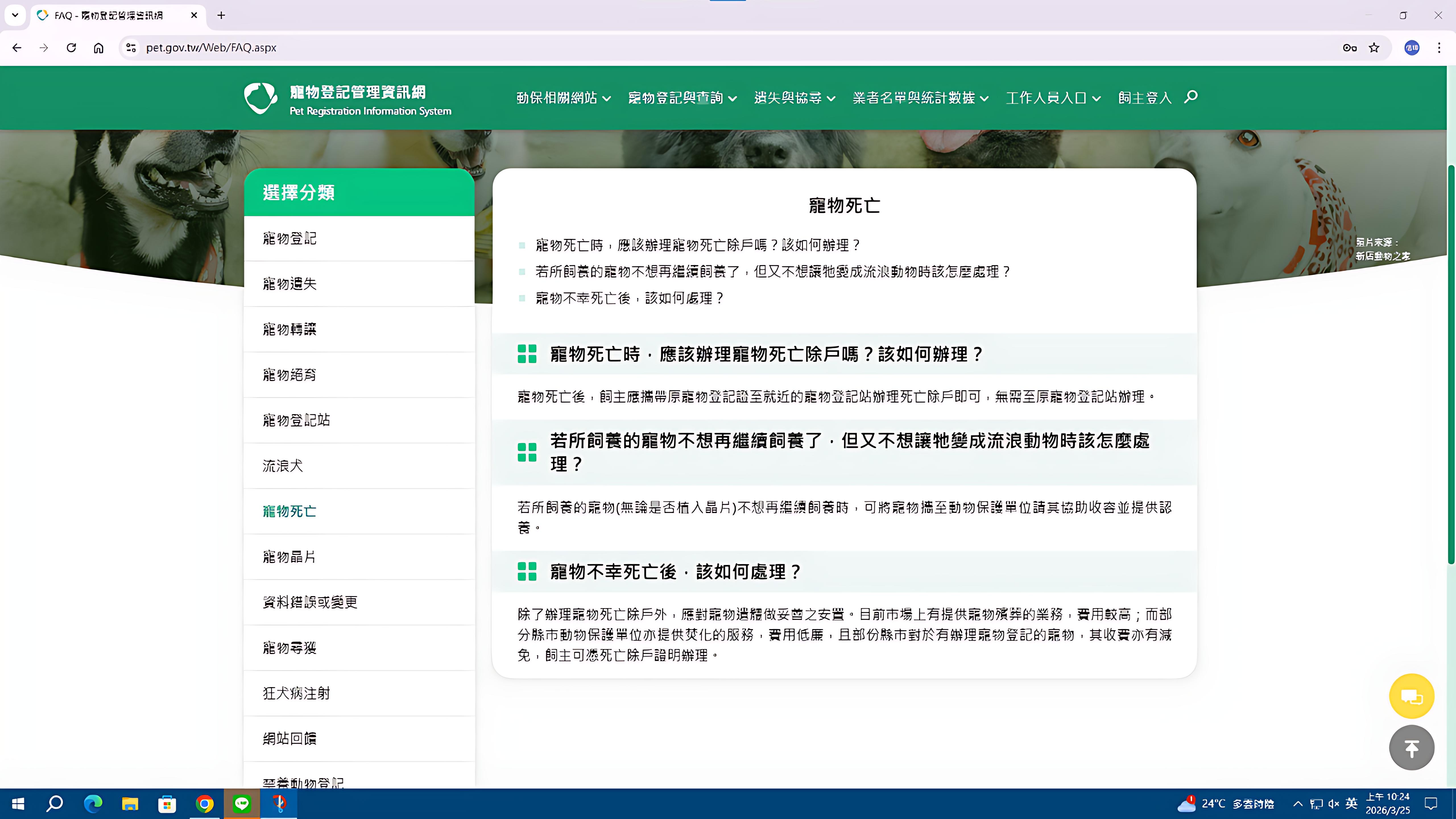毛寶貝走完生命旅程　新北動保處提醒飼主應完成除戶登記 圖片集錦，共 5 張