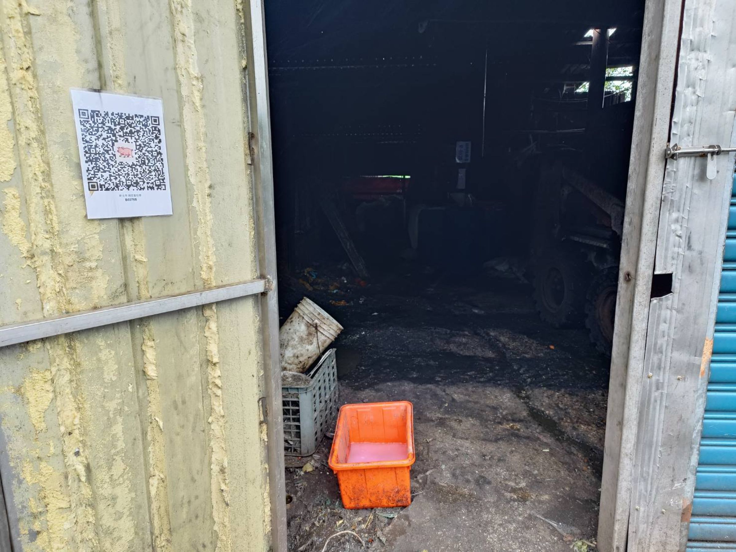 新北動保處響應世界衛生日，從守護動物健康衛生開始 圖片集錦，共 7 張