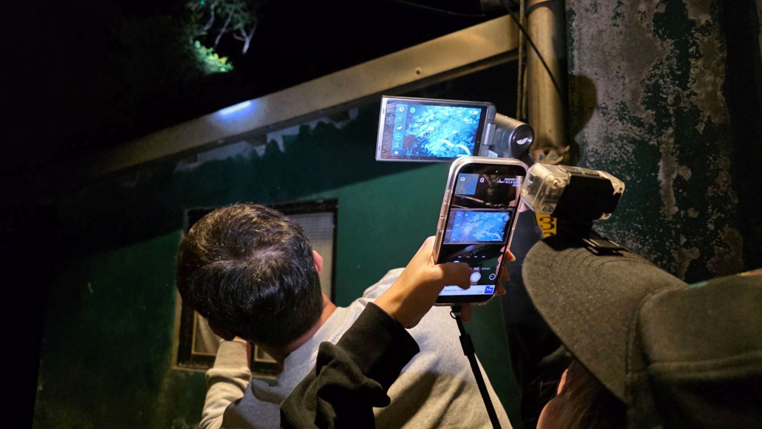 黑影難尋也不放棄！新北動保處靠熱顯像救出受困浪犬  圖片集錦，共 7 張