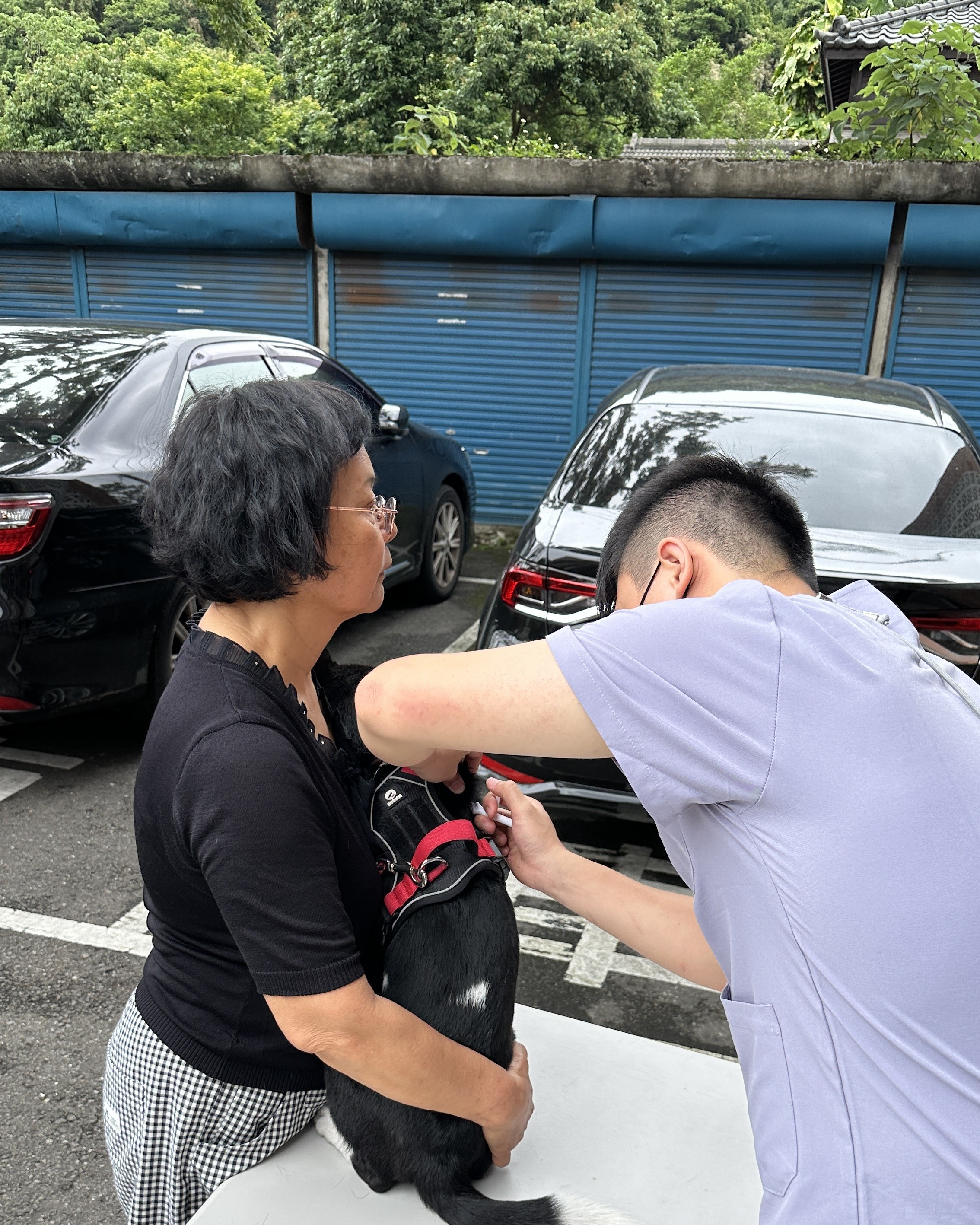 謹守狂犬病「二不一要」原則，全民一起做防疫 圖片集錦，共 2 張