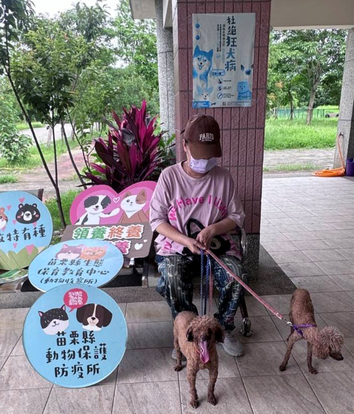 給牠一個溫暖的家！苗栗縣動物保護教育園區推多元福利 邀您「以認養代替購買」 圖片集錦，共 2 張