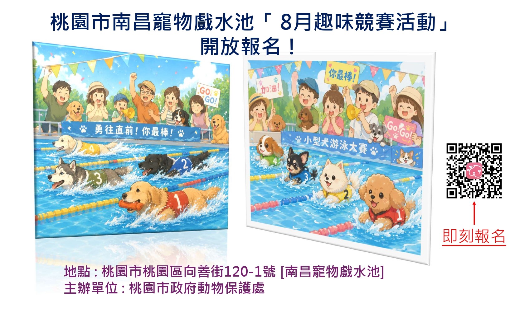 桃園市南昌寵物戲水池「8月趣味競賽活動」開放報名！ 圖片