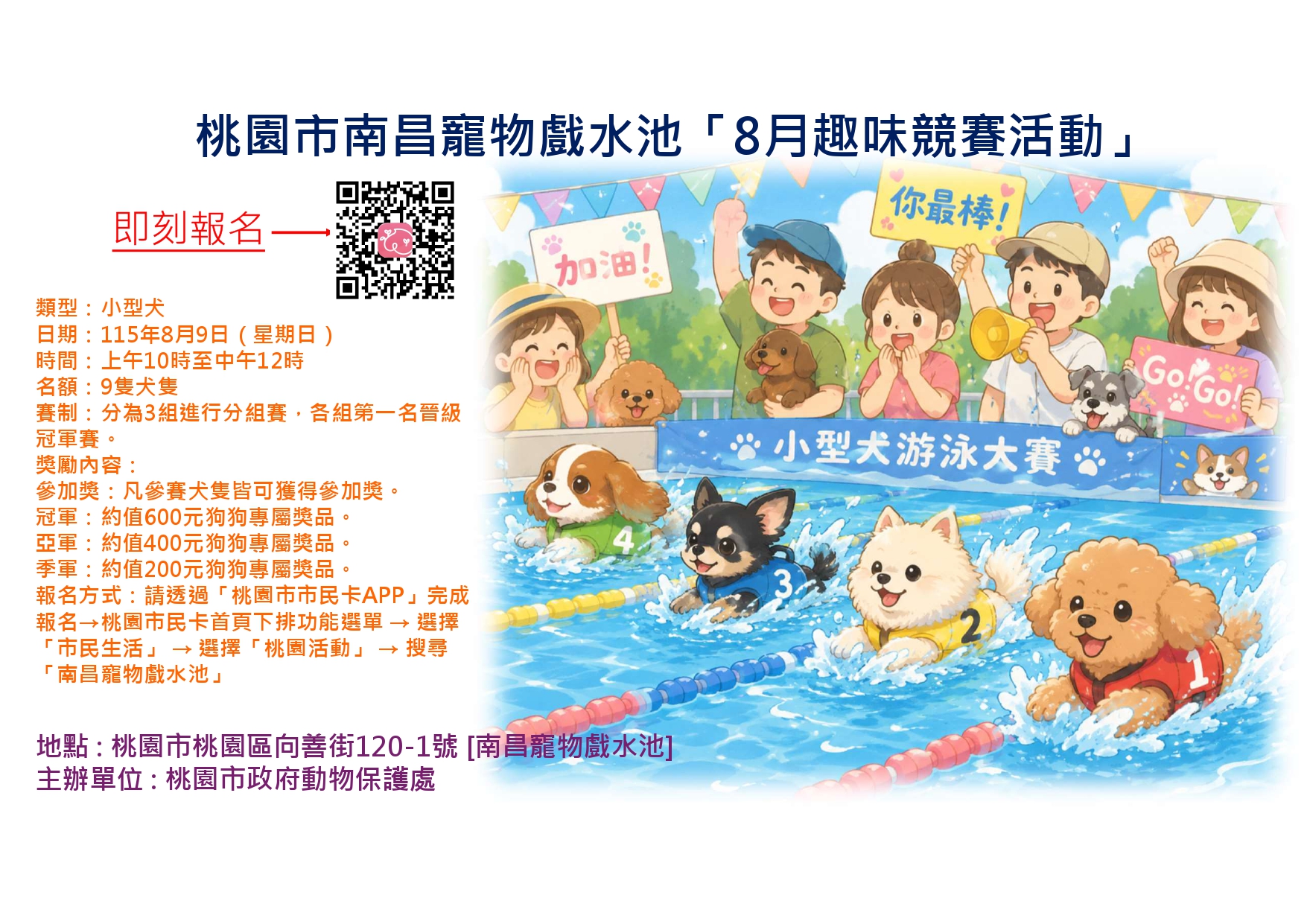 桃園市南昌寵物戲水池「8月趣味競賽活動」開放報名！ 圖片集錦，共 3 張
