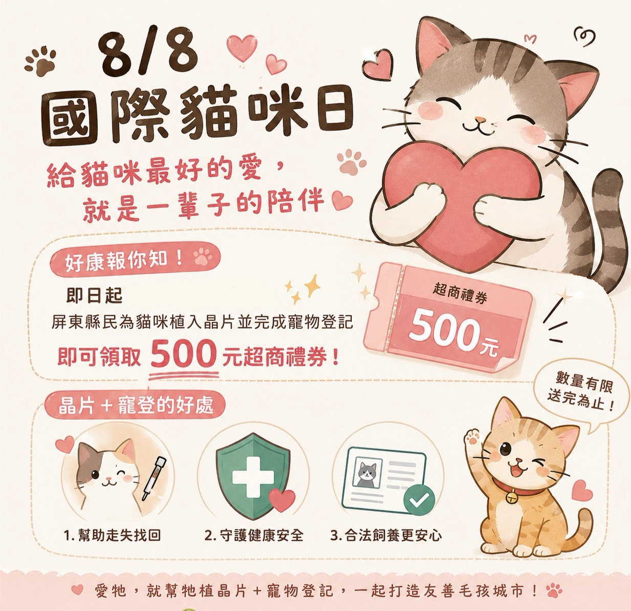 屏東縣115年8月動物保護宣導🐱 國際貓咪日快樂！植晶片送 500 元超商禮券🎁 圖片