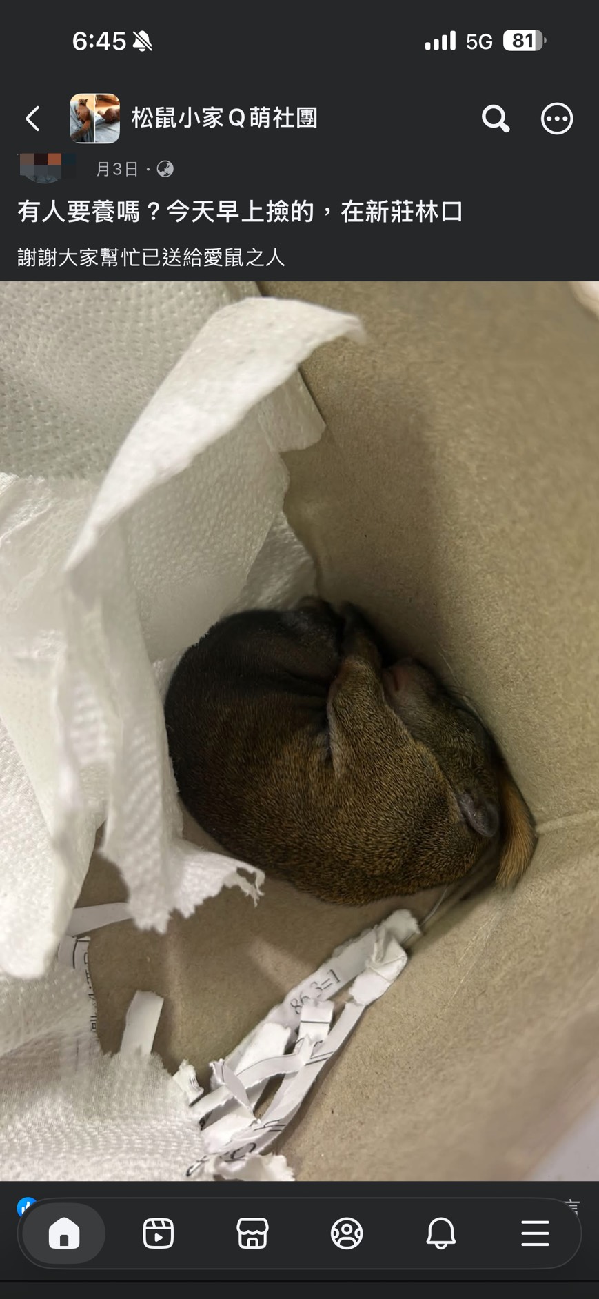社團內送養相關貼文