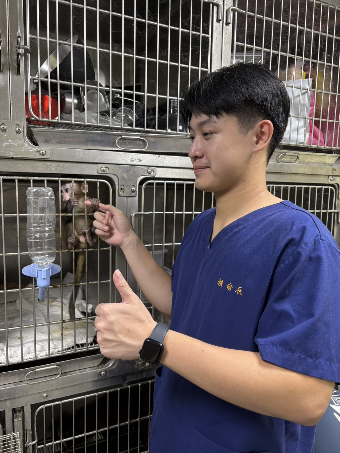 實際參與醫療照顧