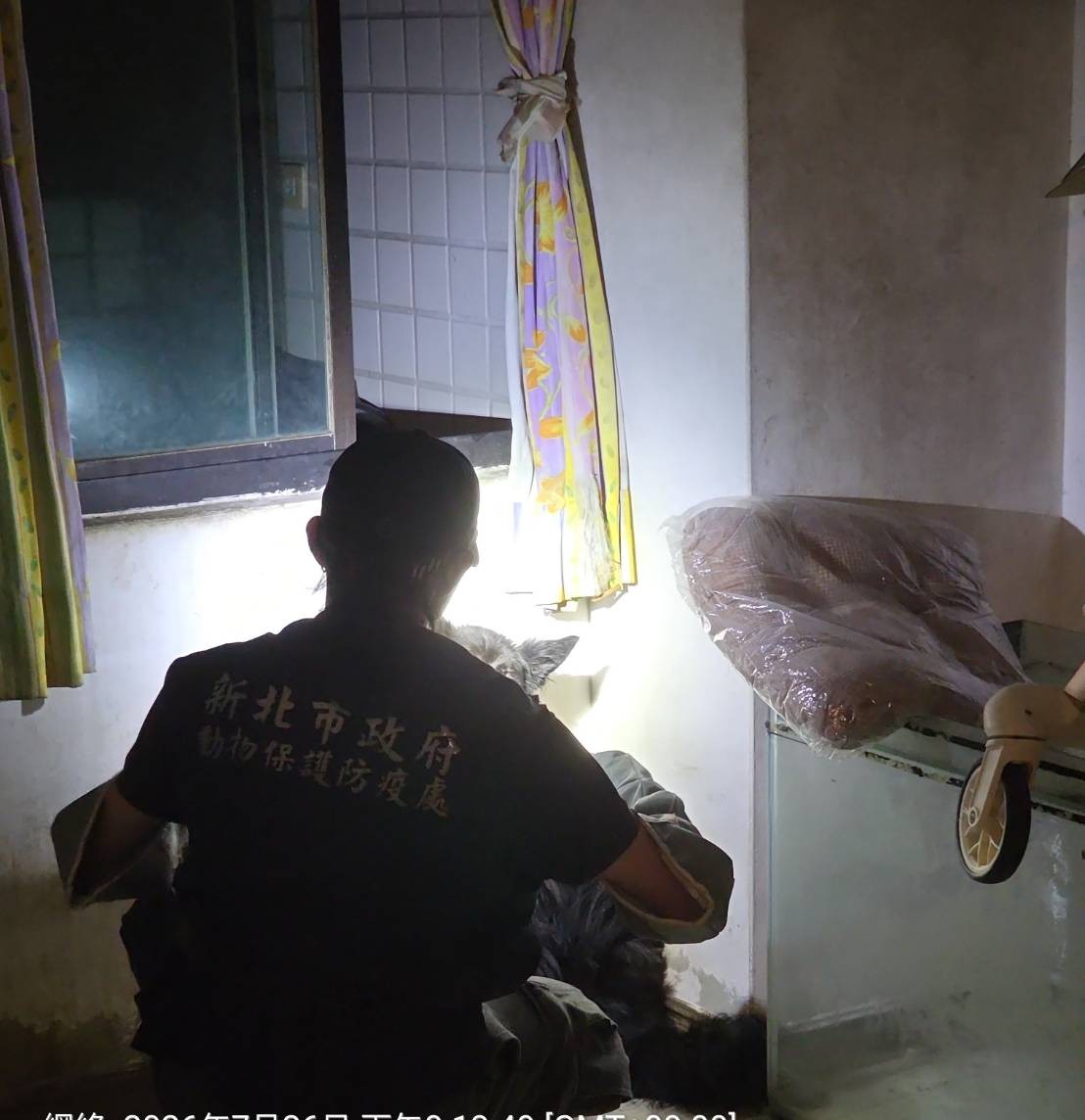 新北首創「住宅租賃寵物飼養參考約款」簽約明定權責防寵物遭留置棄養 圖片集錦，共 6 張