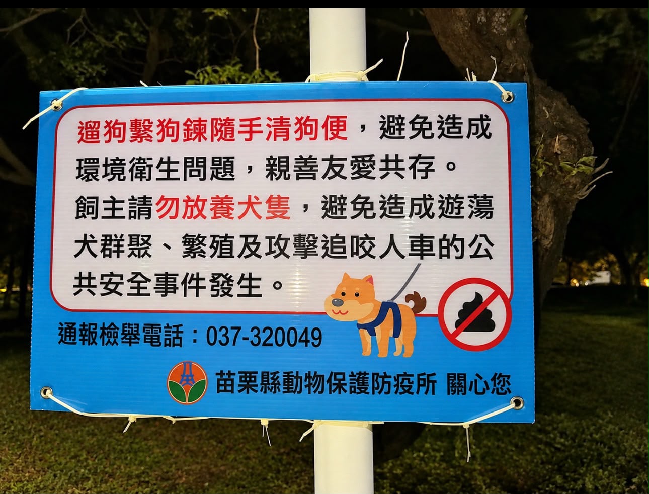 外出遛狗時請繫妥牽繩 共同維護公共區域安全 圖片集錦，共 3 張