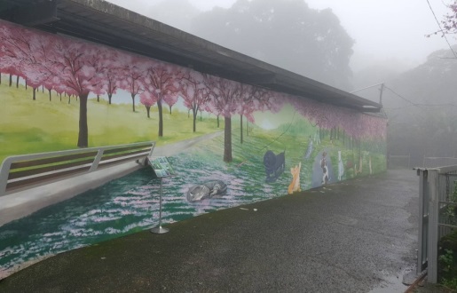 新北市三芝區公立動物之家 照片集錦(共2張)