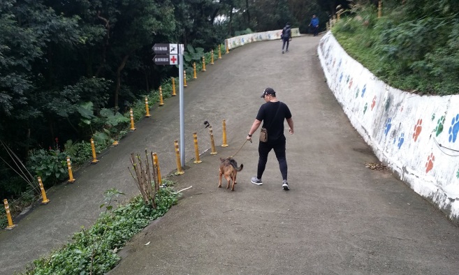 新北市五股區公立動物之家 照片集錦(共2張)