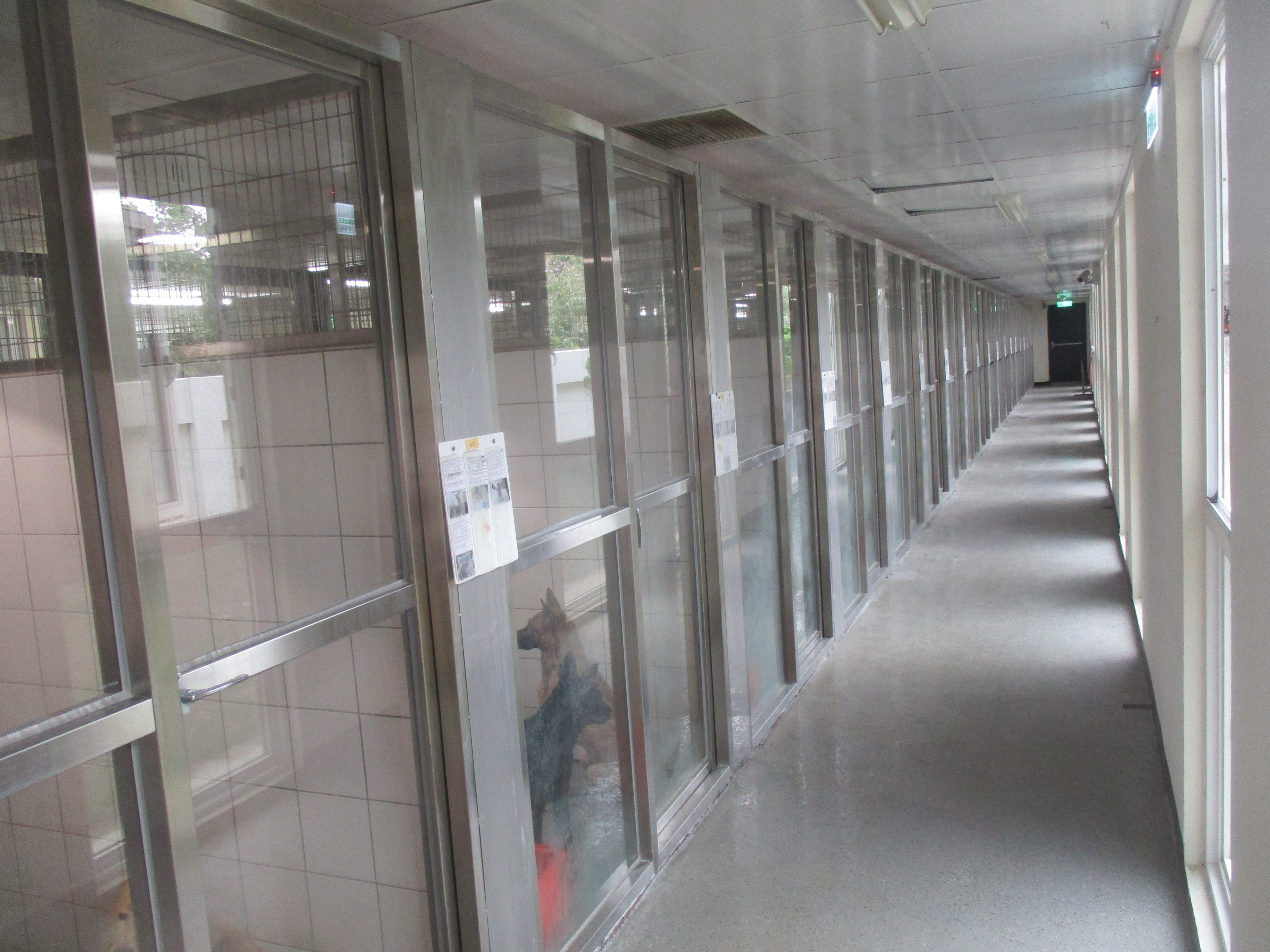 桃園市動物保護教育園區 照片集錦(共4張)