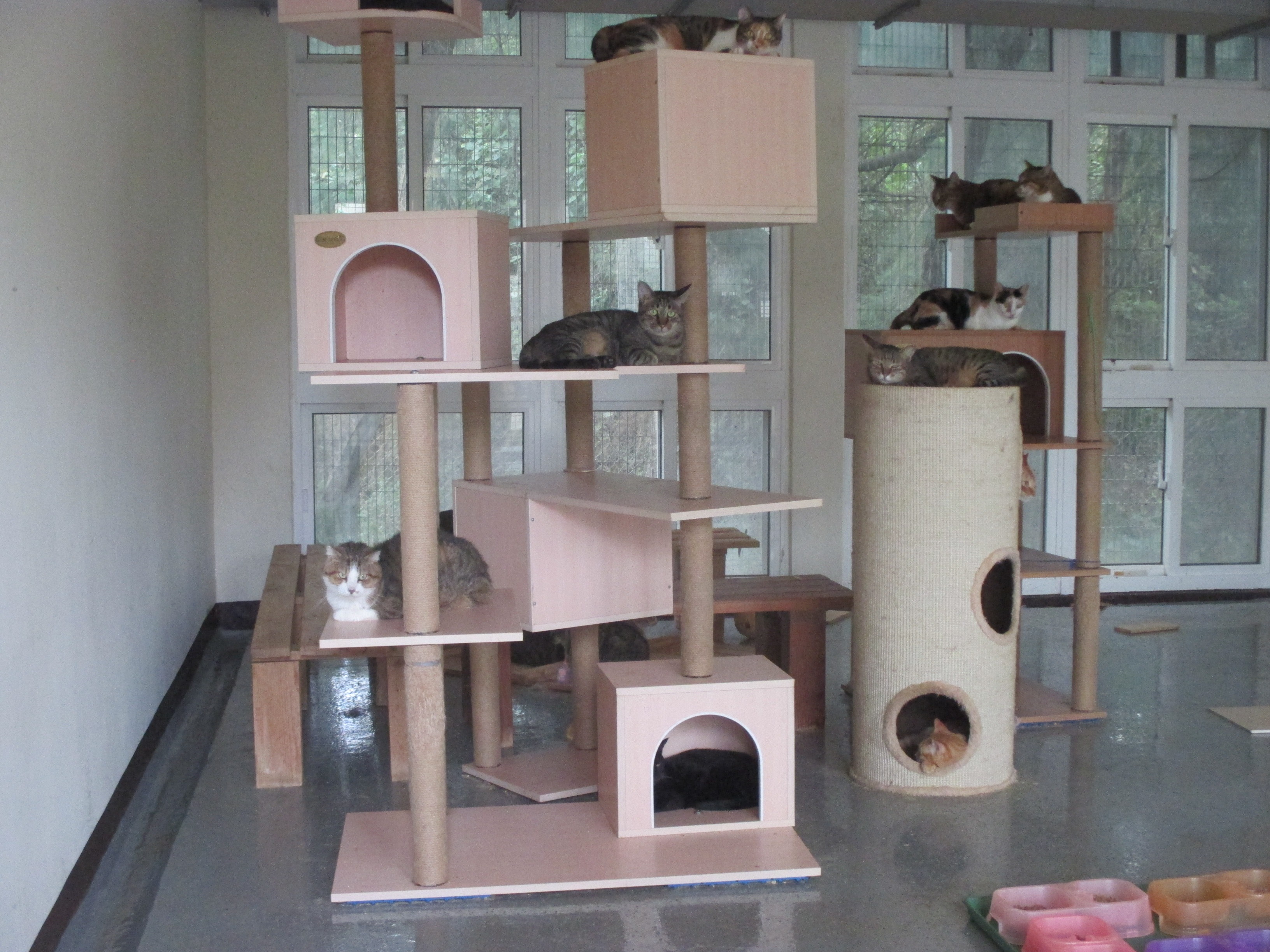 桃園市動物保護教育園區 照片集錦(共4張)