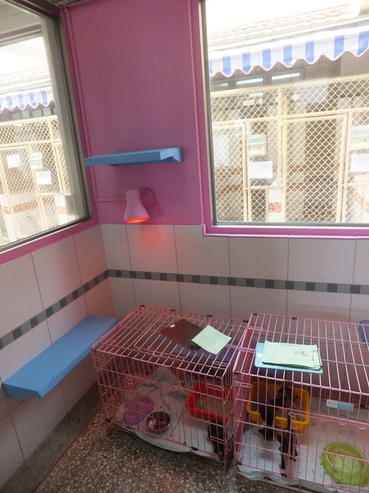 高雄市壽山動物保護教育園區 照片集錦(共10張)