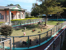 臺中市動物之家南屯園區 照片集錦(共3張)