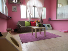 臺中市動物之家南屯園區 照片集錦(共3張)