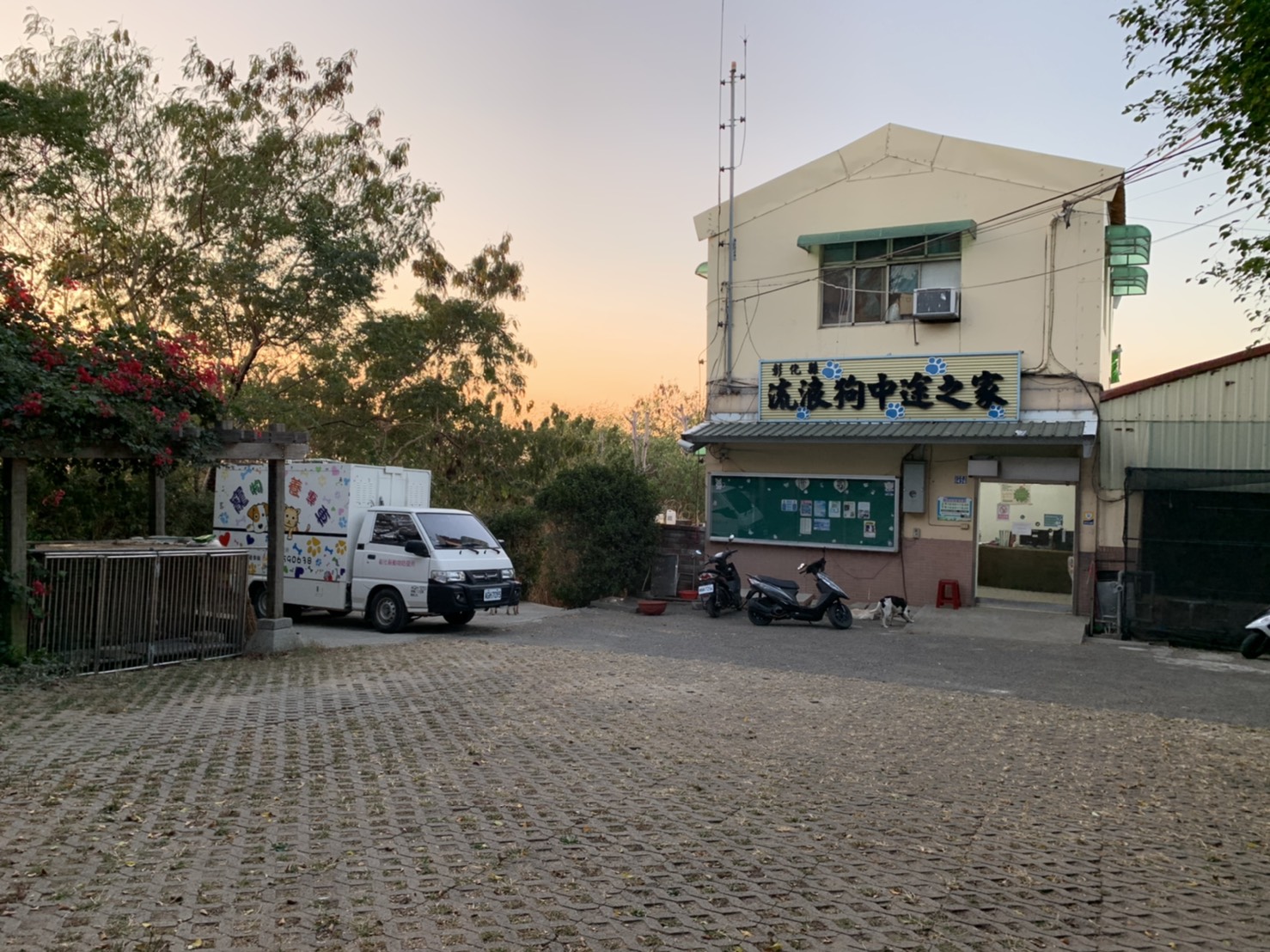彰化縣流浪狗中途之家 圖片