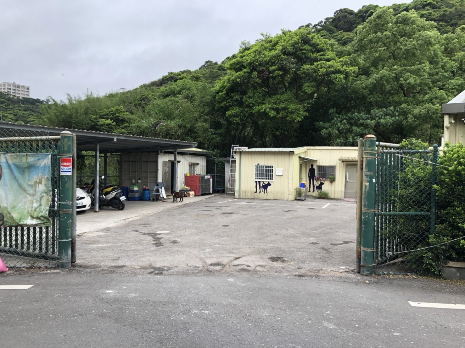 新北市八里區公立動物之家 照片集錦(共4張)