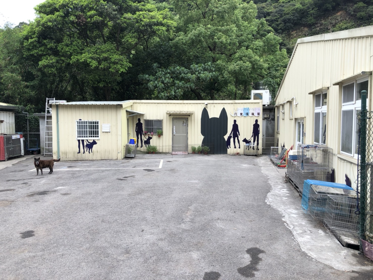 新北市八里區公立動物之家 照片集錦(共4張)