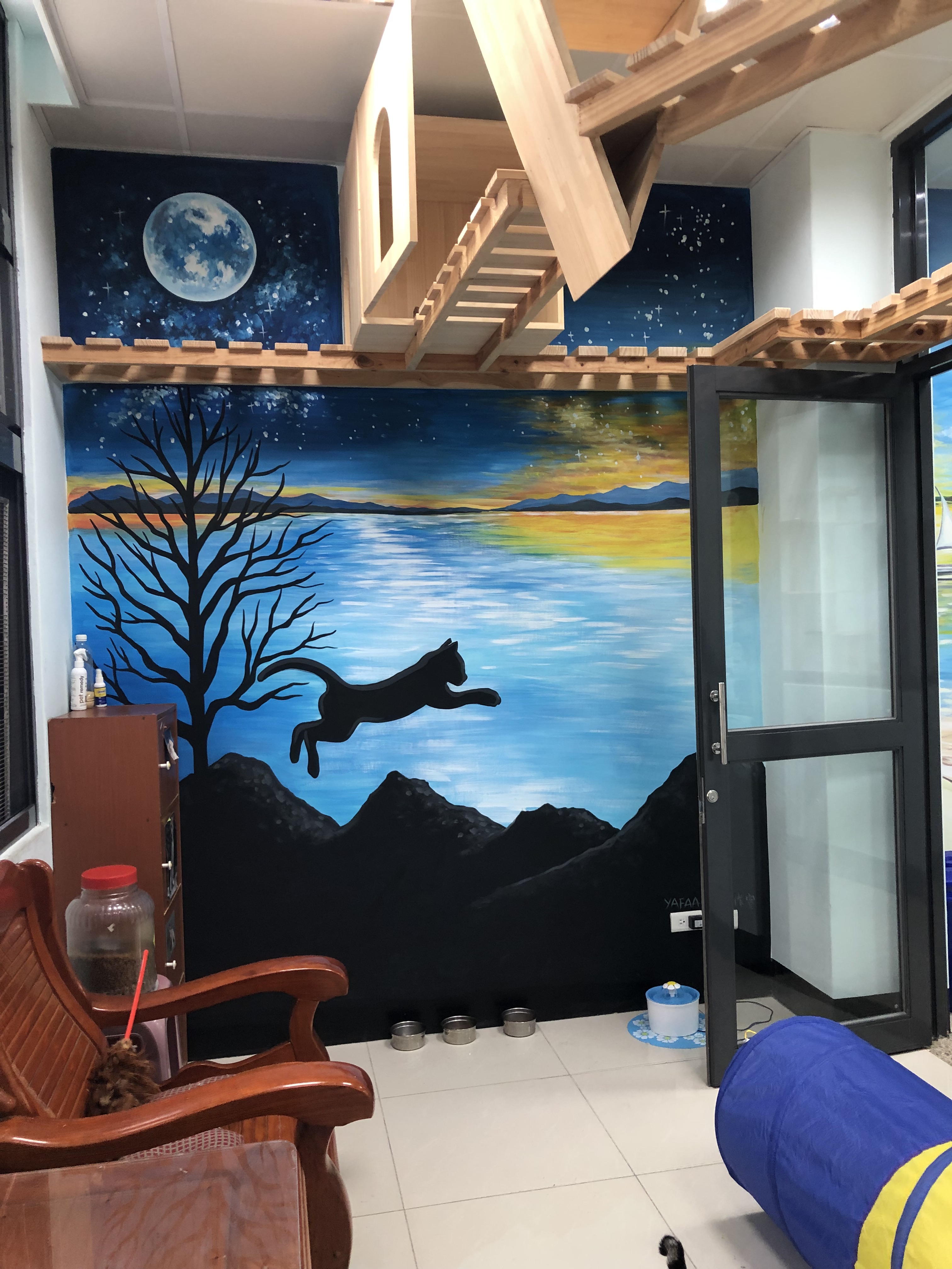 南投縣公立動物收容所 照片集錦(共5張)