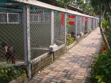 臺南市動物之家灣裡站 照片集錦(共4張)