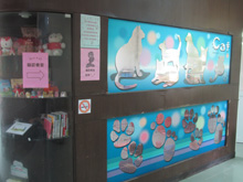 臺南市動物之家善化站 照片集錦(共4張)