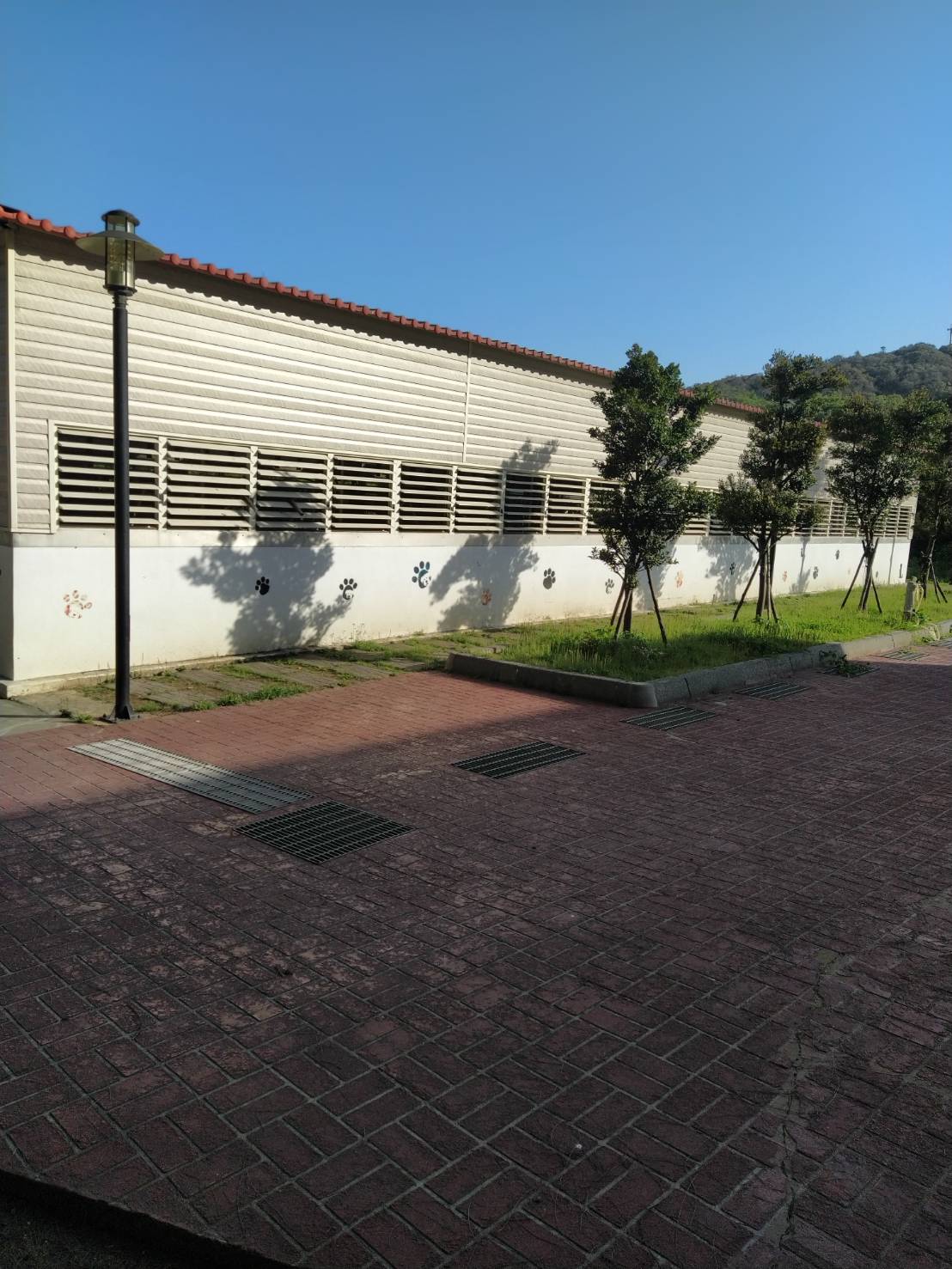 連江縣流浪犬收容中心 照片集錦(共6張)