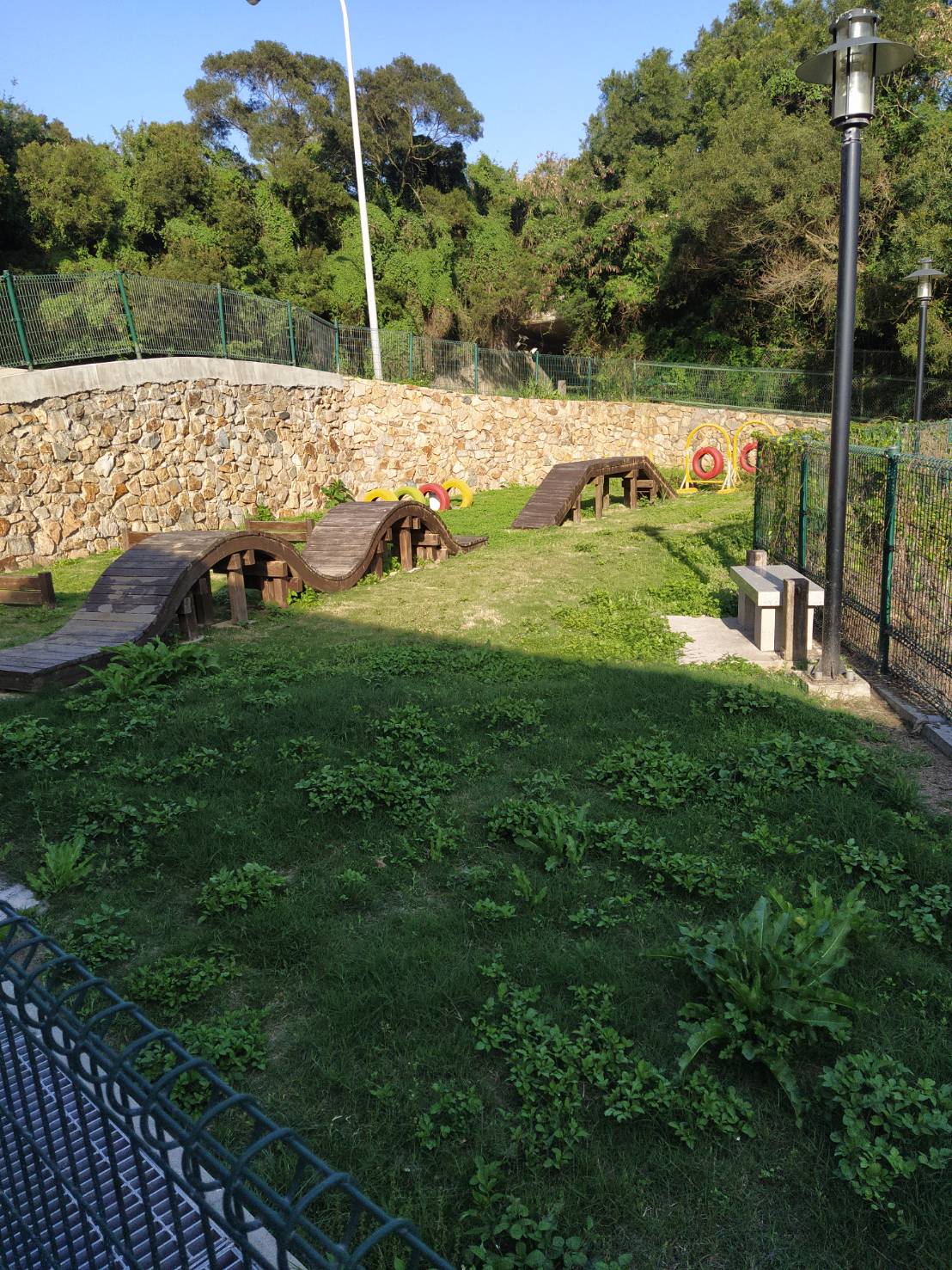 連江縣流浪犬收容中心 照片集錦(共6張)