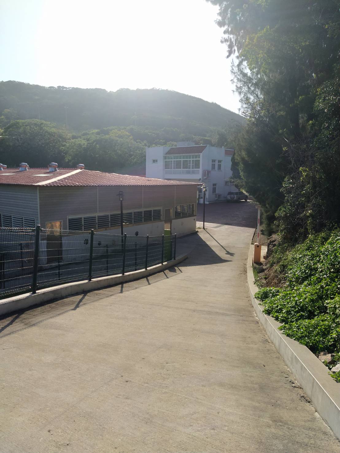 連江縣流浪犬收容中心 照片集錦(共6張)