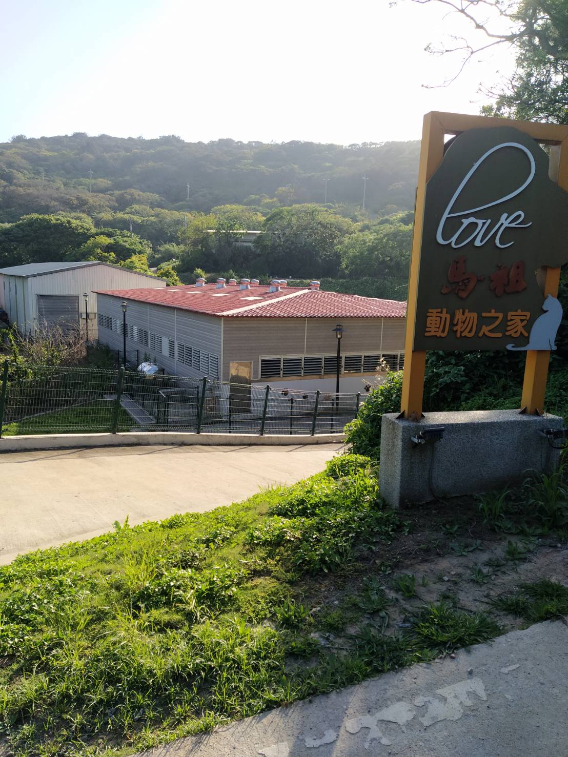 連江縣流浪犬收容中心 照片集錦(共6張)