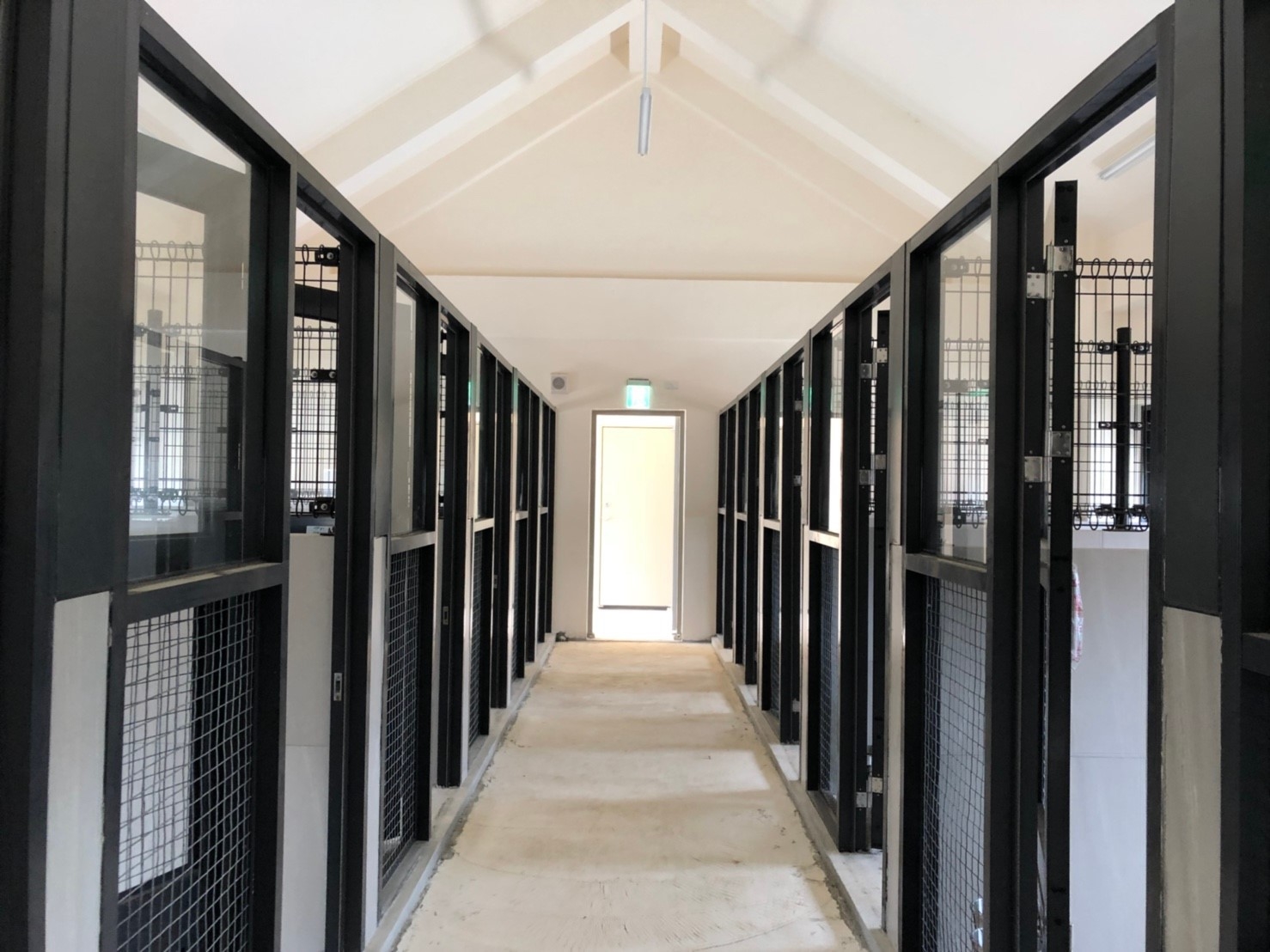 金門縣動物收容中心 照片集錦(共4張)