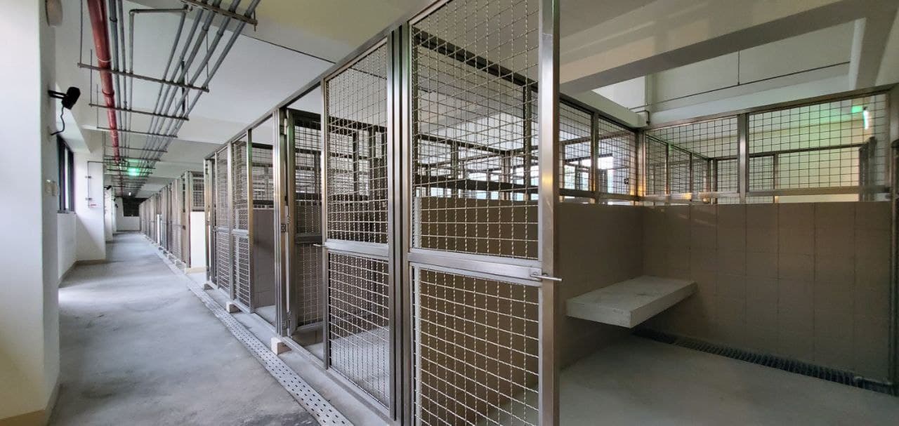 花蓮縣狗貓躍動園區 照片集錦(共6張)