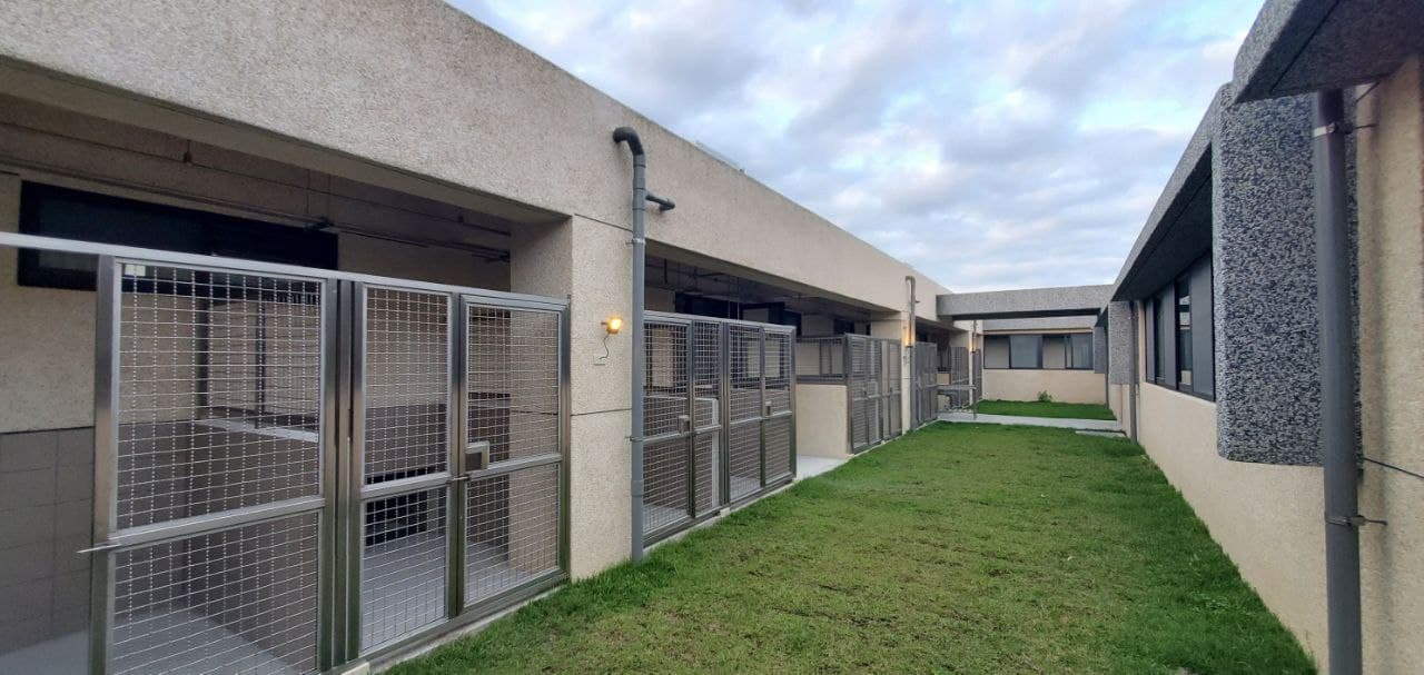 花蓮縣狗貓躍動園區 照片集錦(共6張)