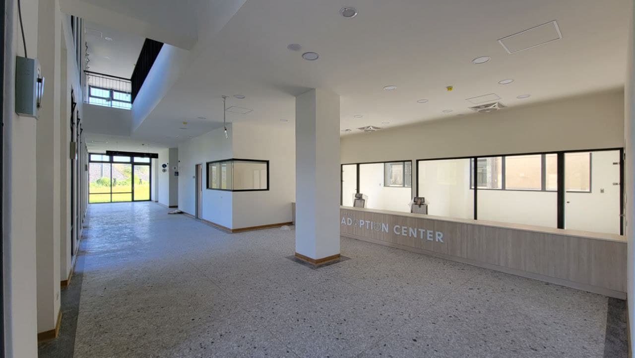 花蓮縣狗貓躍動園區 照片集錦(共6張)